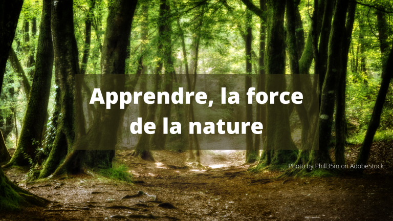 « Apprendre, la force de la nature », la nouvelle exposition de l’IFCAM