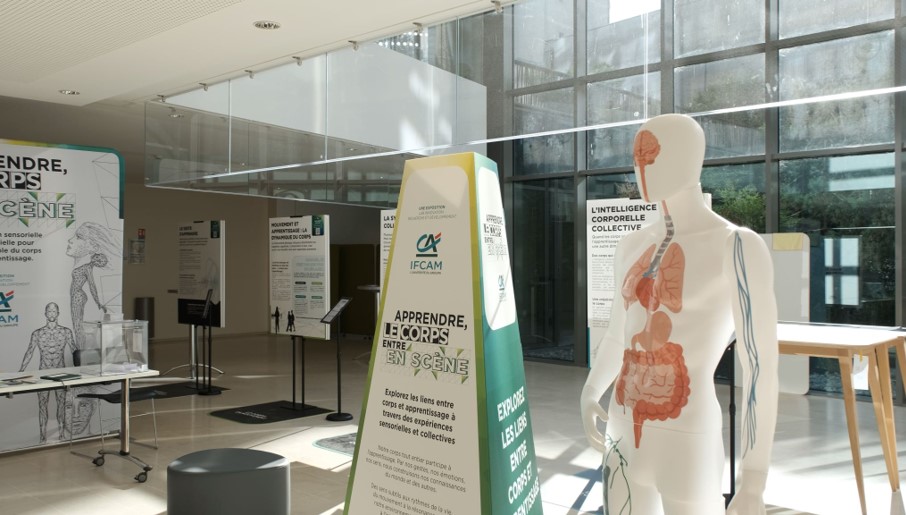 Photo de l'exposition "Apprendre, le corps entre en scène"