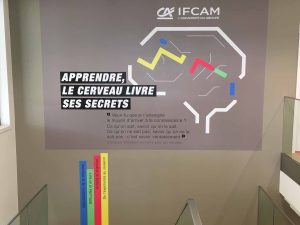Expo-cerveau-IFCAM