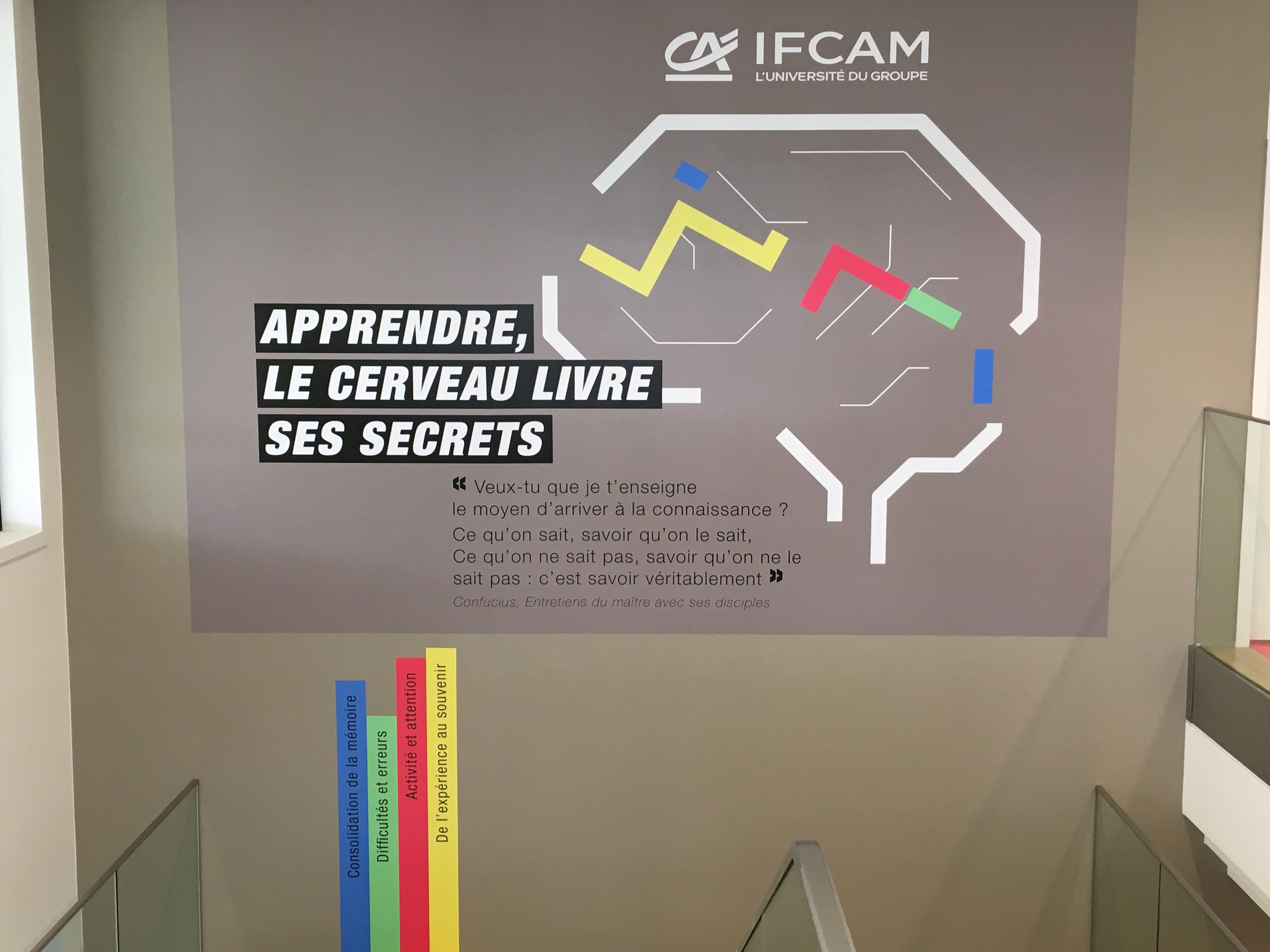 « Apprendre, le cerveau livre ses secrets » : une nouvelle exposition IFCAM ! 